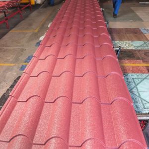 Euro tile Matt Finish